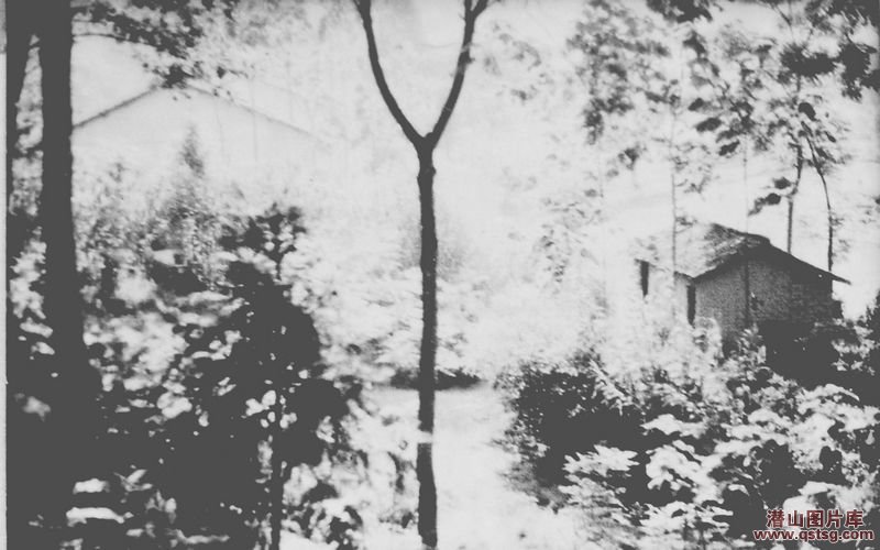 1930ưرַ
