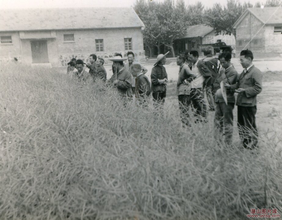 19825ȫӽѡ