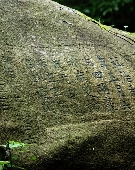 ɽȪĦʯ